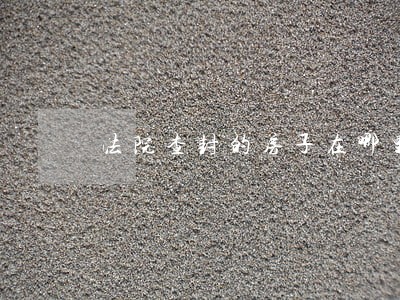 法院查封的房子在哪里交易
