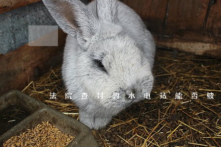 法院查封的水电站能否被政府关停 法院查封的水电站能否被政府关停