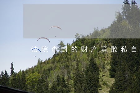 法院查封的财产竟敢私自处理 法院查封的财产竟敢私自处理