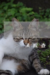 法院查封设备如何估值 法院查封设备如何估值