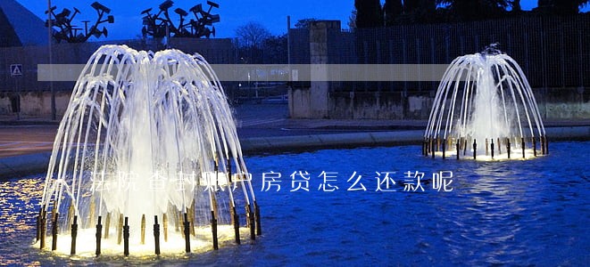 法院查封账户房贷怎么还款呢 法院查封账户房贷怎么还款呢
