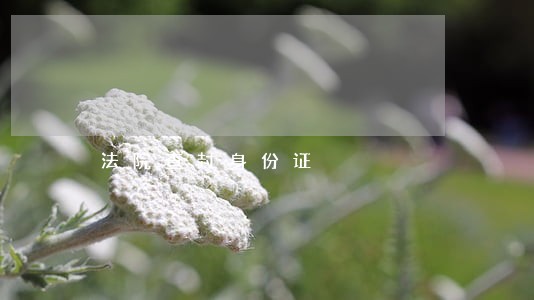 法院查封身份证 法院查封身份证