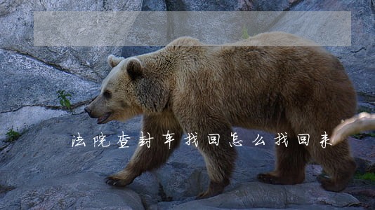 法院查封车找回怎么找回来 法院查封车找回怎么找回来