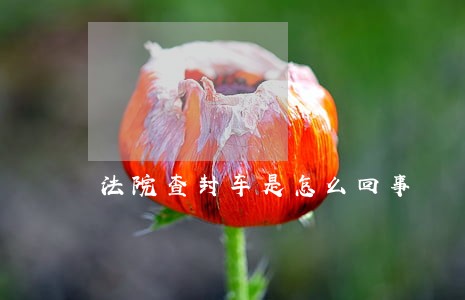 法院查封车是怎么回事 法院查封车是怎么回事
