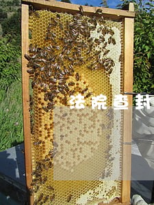 法院查封车能被报废吗 法院查封车能被报废吗