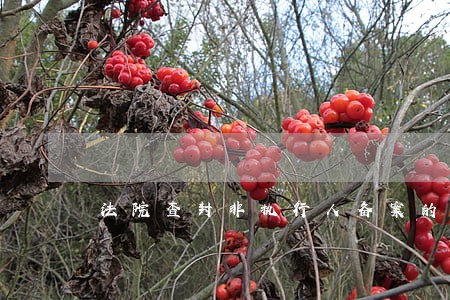 法院查封非执行人备案的房产 法院查封非执行人备案的房产