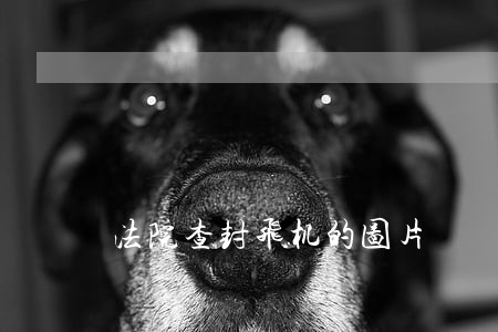 法院查封飞机的图片 法院查封飞机的图片