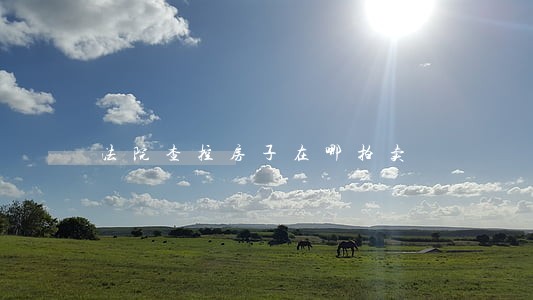 法院查控房子在哪拍卖 法院查控房子在哪拍卖