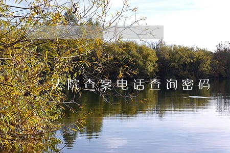 法院查案电话查询密码 法院查案电话查询密码