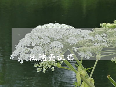 法院查证据
