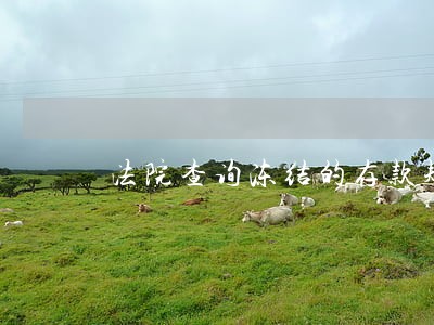 法院查询冻结的存款规定 法院查询冻结的存款规定