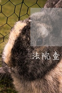 法院查询卷宗授权委托书 法院查询卷宗授权委托书