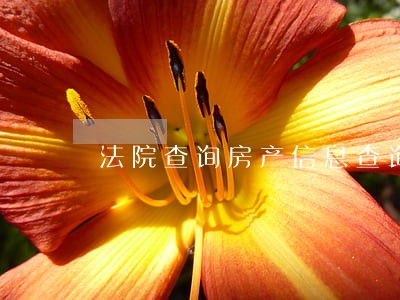 法院查询房产信息查询 法院查询房产信息查询