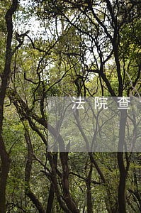 法院查询支付宝交易