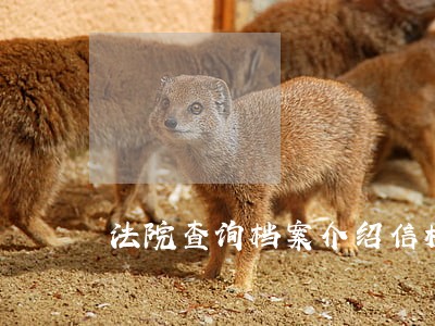 法院查询档案介绍信模板 法院查询档案介绍信模板