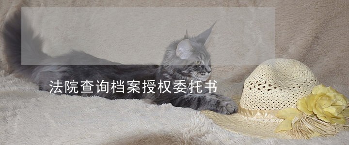 法院查询档案授权委托书 法院查询档案授权委托书
