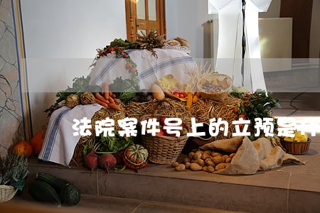 法院案件号上的立预是什么意思 法院案件号上的立预是什么意思
