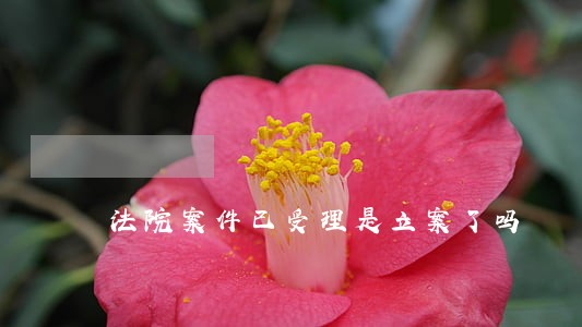 法院案件已受理是立案了吗 法院案件已受理是立案了吗