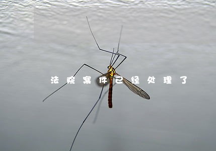 法院案件已经处理了 法院案件已经处理了