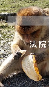 法院案件档案归档工作量大吗 法院案件档案归档工作量大吗