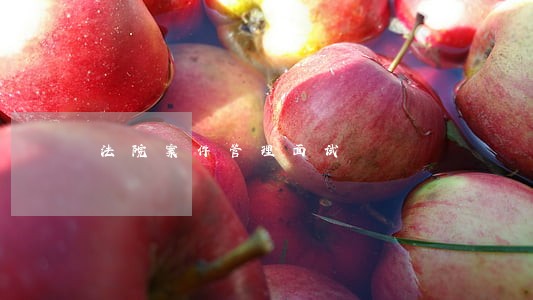 法院案件管理面试 法院案件管理面试