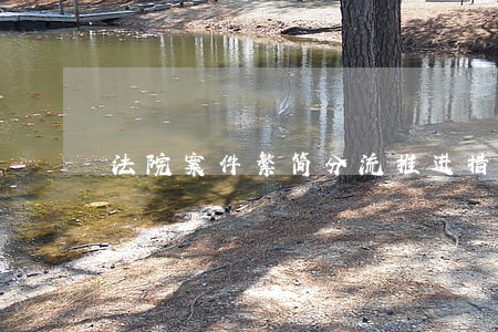 法院案件繁简分流推进措施