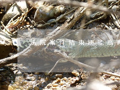法院案件结束还能高吗