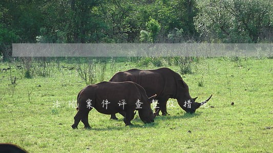 法院案件评查整改措施 法院案件评查整改措施