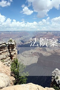 法院案卷封面材质
