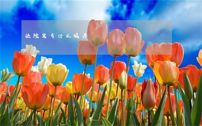 法院案号什么顺序 法院案号什么顺序