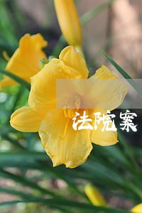 法院案审判压力现状专题报告
