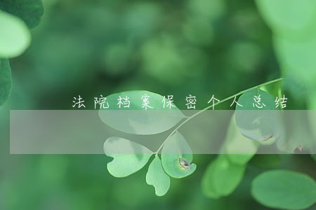 法院档案保密个人总结 法院档案保密个人总结