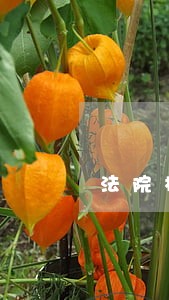 法院档案室职务 法院档案室职务