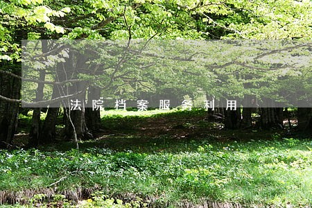 法院档案服务利用 法院档案服务利用