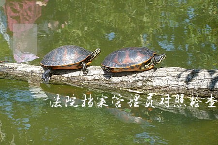 法院档案管理员对照检查 法院档案管理员对照检查