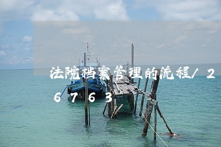 法院档案管理的流程/2023022646763
