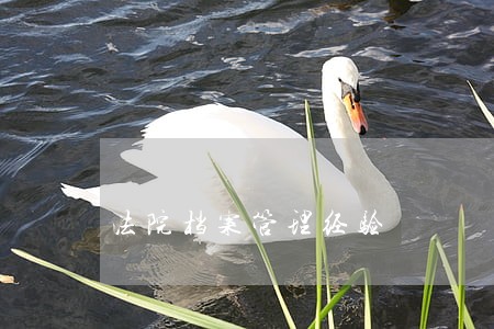 法院档案管理经验 法院档案管理经验