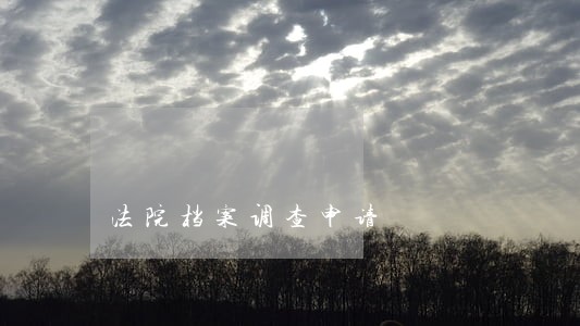 法院档案调查申请 法院档案调查申请