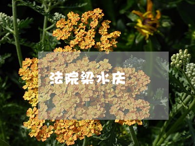 法院梁水庆