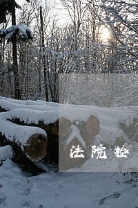 法院检察院书记员面试题目 法院检察院书记员面试题目