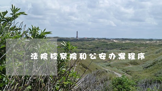 法院检察院和公安办案程序
