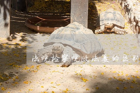法院检察院政法委的区别