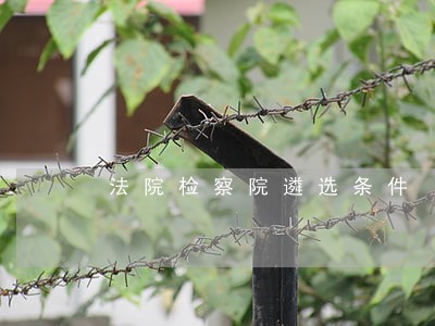 法院检察院遴选条件 法院检察院遴选条件