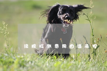 法院检测费用由谁承担 法院检测费用由谁承担