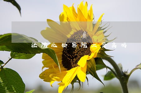 法院比检察院工资高吗 法院比检察院工资高吗