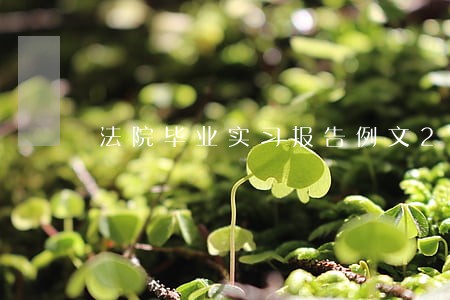法院毕业实习报告例文202 法院毕业实习报告例文202