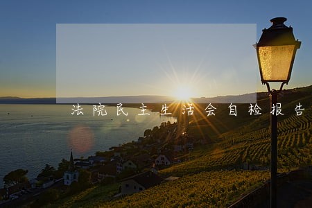 法院民主生活会自检报告 法院民主生活会自检报告