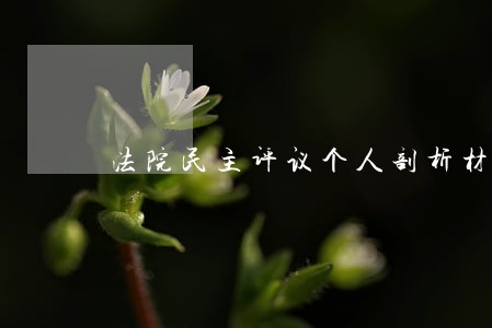 法院民主评议个人剖析材料 法院民主评议个人剖析材料