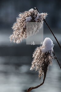 法院民事案件如何认定错案 法院民事案件如何认定错案