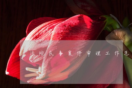 法院民事案件审理工作总结